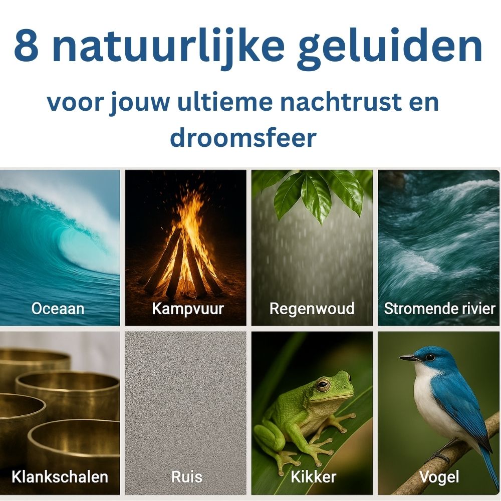 Neuvelt Soundbox